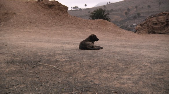 "Procuro situarme mientras grabo como si fuera la primera vez que lo hago, no dejar de ser un amateur."